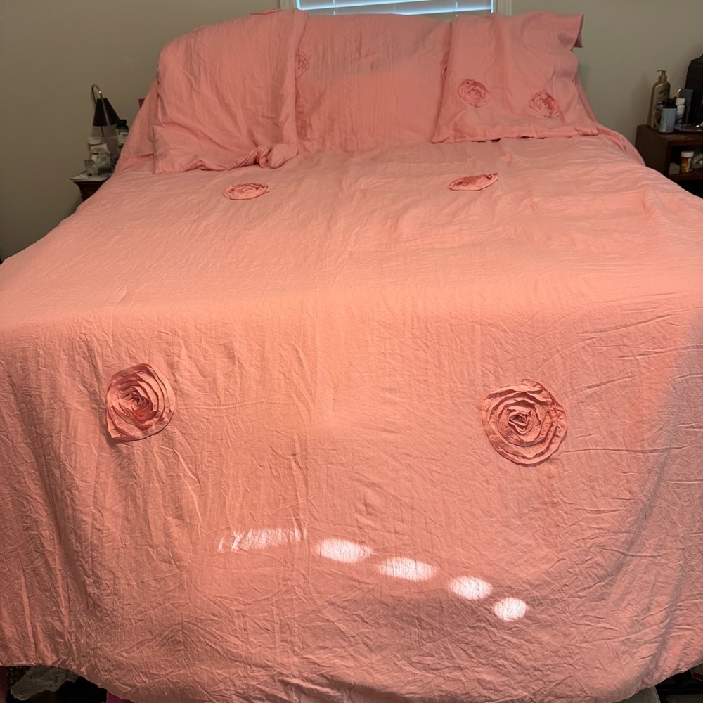 Romantic Rose Appliqué Comforter Set in Blush